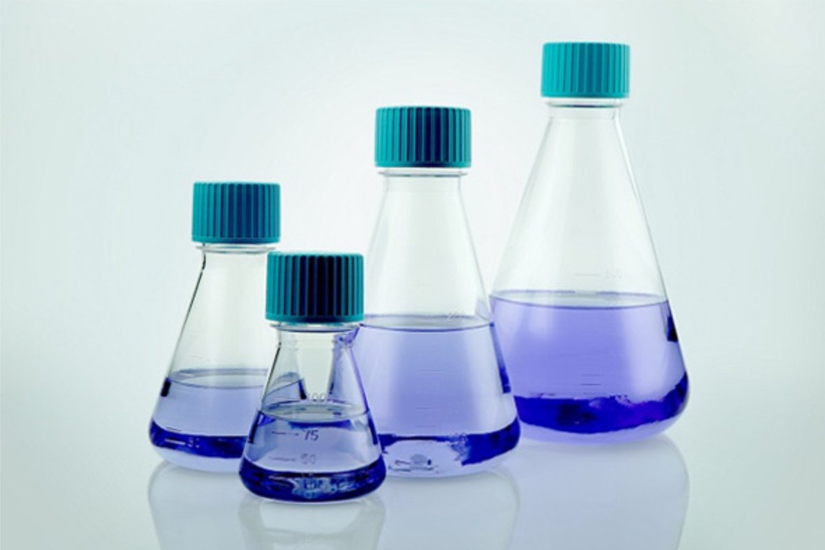 NEST® - Erlenmeyer fles - PETG - 500ml - Steriel - Food grade - 2 stuks / Maatbeker, maatcilinder, reageerbuis, maatkolf, opslag, opbergen, voorraad pot, voorraad fles