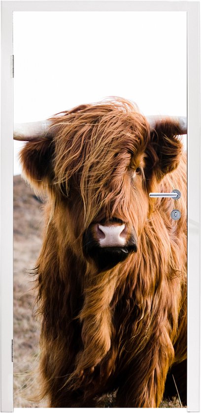 Sticker pour porte Scottish Highlander - Paysage - Vache - Marron - Animaux - Nature - 95x215 cm - Door Poster