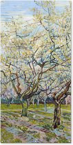 Schuttingposter Boomgaard in bloei - Vincent van Gogh - 100x200 cm - Tuindoek