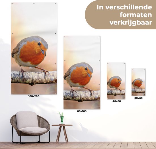 Affiche de jardin Robin - Branche - Arbre - 40x80 cm - Décoration murale Extérieur - Affiche de jardin - Toile de jardin - Affiche de clôture - Peinture de jardin