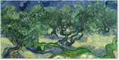 Schuttingposter De olijfbomen - Vincent van Gogh - 200x100 cm - Tuindoek