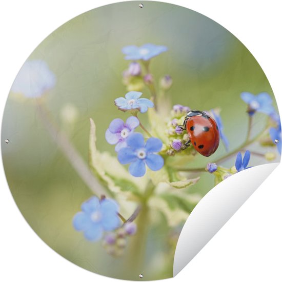 Tuincirkel Lieveheersbeestje - Bloem - Lente - 150x150 cm - Ronde Tuinposter - Buiten