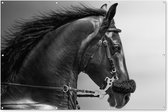 Muurdecoratie Paarden - Zwart - Portret - Dieren - 180x120 cm - Tuinposter - Tuindoek - Buitenposter