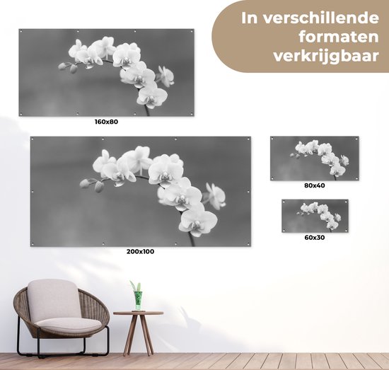 Poster de jardin Orchidée - Fleurs - Plante - Wit - Violet - 60x30 cm - Toile jardin - Poster extérieur