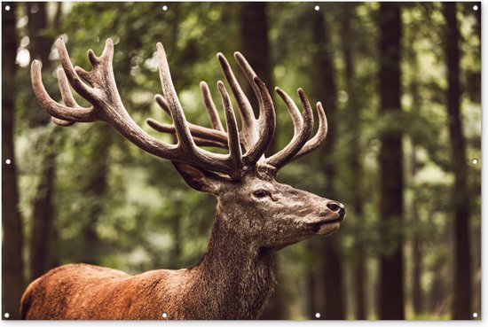 Muurdecoratie Hert - Natuur - Gewei - Bos - Dieren - 180x120 cm - Tuinposter - Tuindoek - Buitenposter