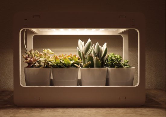 Foto: Labou smart garden met groeiverlichting kweekset indoor garden kweekkasjes kweekbak kweekkas binnen kweekkas vensterbank groeilamp kweektafel kweeklamp click and grow kruidenpot kruiden kweken