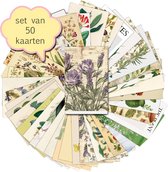 Set van 50 verschillende kaarten Jungle Vintage - ansichtkaarten - botanisch - stevig karton - blanco achterzijde - 15x10 cm