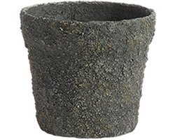 Pot Mosu 16 cm - Mosgroen