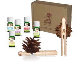 Etherische Oliën Complete Set - Aromatherapie - 100% Puur, Natuurlijke & Zuivere Luchtverfrisser Auto - 5x10 ml - Geschikt voor Horizontale Ventilatieroosters - Inclusief applicator - Relatiegeschenk