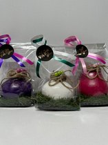 Wax amaryllis trio paars wit roze in geschenkverpakking - relatiegeschenk