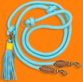 DWAM Dog with a Mission Dog Leash – Riem pour chiens – Blauw – Polyester/ Cuir – S – 220 x 1 cm – Extra Long Blues