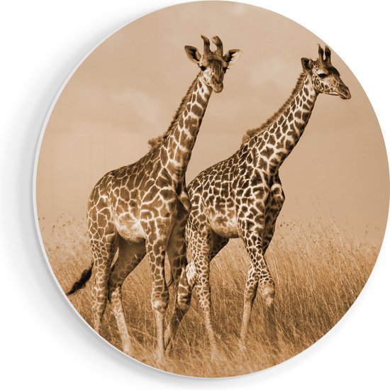 Artaza Muurcirkel - Twee Giraffes In Het Veld - Wandcirkel - Rond Schilderij