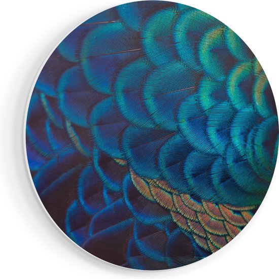 Artaza Cercle mural Forex Plumes de paon colorées de près - 40x40 cm - Klein - Cercle mural - Peinture ronde - Cercle de Décoration murale