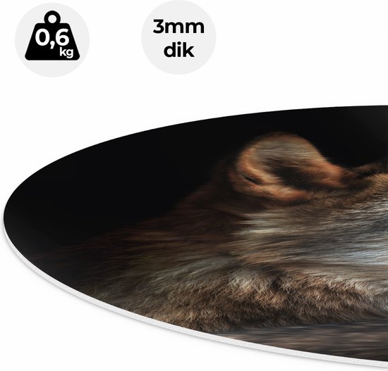 Cercle mural Artaza Forex Tête de loup avec un rayon de soleil - Loup - 70x70 cm - Cercle mural - Peinture ronde - Décoration murale Cercle - Décoration murale