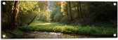 Tuinposter – Bos - Natuur - Water - Beekje - Stenen - Bomen - 90x30 cm Foto op Tuinposter (wanddecoratie voor buiten en binnen)