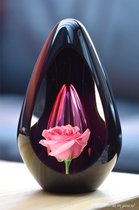 Crematie-as Urn Premium Design Glas met afbeelding van een open roos -Urn met afbeelding dmv.hoge kwaliteit sign folie-Urn voor crematie-as-Deelbestemming urn Mens-Urn Dierbare-Herdenken-Urn voor as-60ml inhoud-Premium collectie-Roze askamer