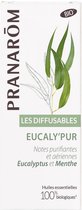 Les Diffusables Eucalypur Meng. Verstuiving 30ml