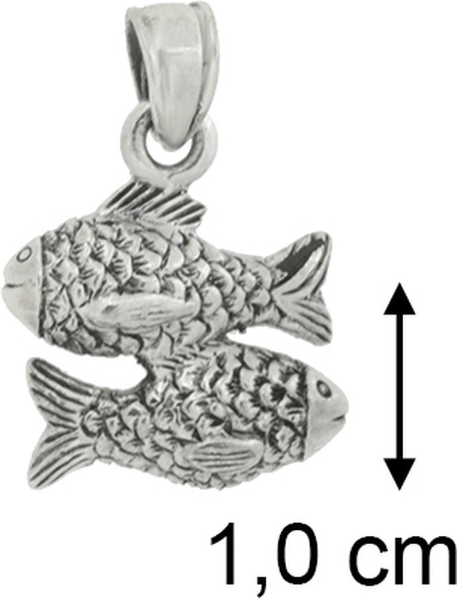 Blinx Jewels Zilveren Hanger Vissen PZ0590B