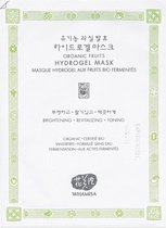 Whamisa Organic Gefermenteerd Vruchten Hydrogel Masker 33 g
