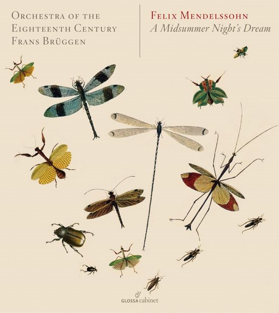 Orchestra Of The Eighteenth Century, Gulbenkian Choir, Frans Brüggen - Mendelssohn Bartholdy: A Midsummer Night's Dream (CD)