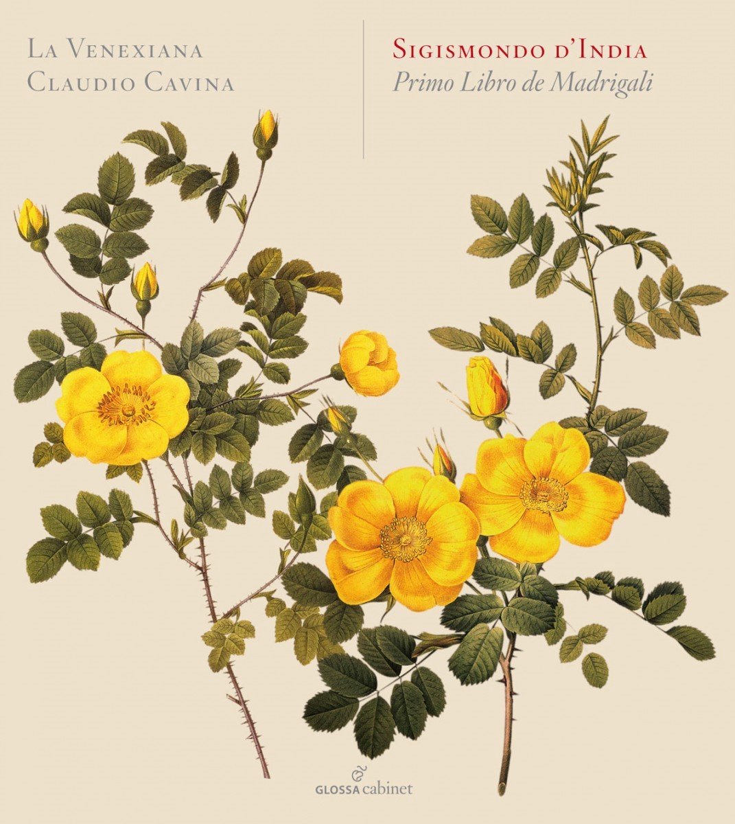 La Venexiana, Claudio Cavina - D'India: Primo Libro De Madrigali (CD)