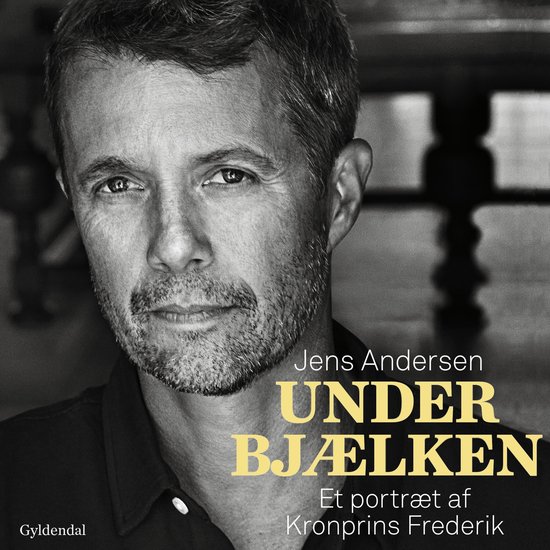 Under bjælken - cover