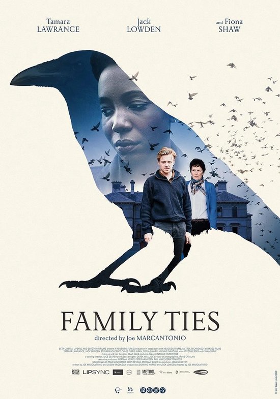 Family Ties (DVD)