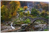 Tuinposter – Bomen - Huizen - Brug - Water - Waterval - Planten - Landschap - 150x100 cm Foto op Tuinposter (wanddecoratie voor buiten en binnen)
