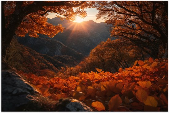 Poster (Mat) - Bergen - Zon - Bomen - Bos - Herfst - 90x60 cm Foto op Posterpapier met een Matte look