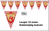 12x Vlaggenlijn Brabants fisje 10 meter - Carnaval fijn fisje themafeest party evenement festival