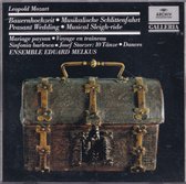 L. Mozart: Peasant Wedding, Musical Sleigh Ride; Starzer