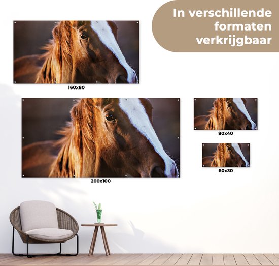 Poster de jardin Cheval - Léger - Fourrure - 60x30 cm - Toile de jardin - Poster extérieur