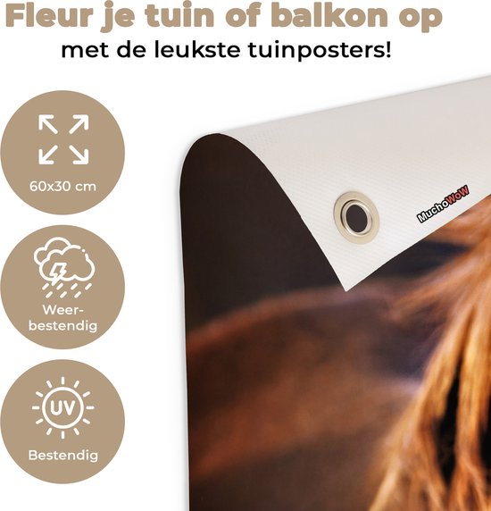 Poster de jardin Cheval - Léger - Fourrure - 60x30 cm - Toile de jardin - Poster extérieur