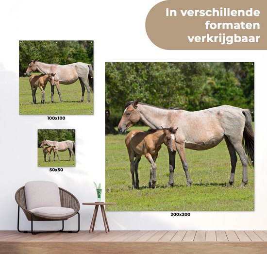 Posters de jardin Paarden - Herbe - Ombre - 50x50 cm - Toile de jardin - Affiche extérieure