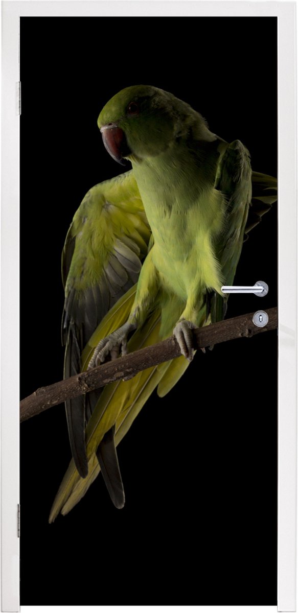 Deurposter 80x215 cm - Deursticker Papegaai - Vogel - Tak - Meubelfolie zelfklevend - Deur