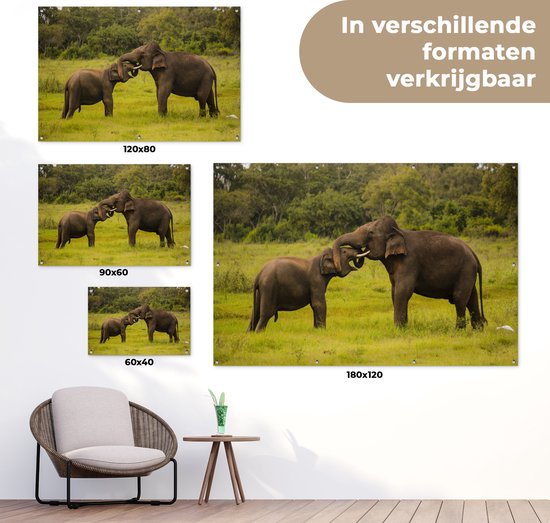 Décoration de jardin Deux éléphants combattants - 60x40 cm - Poster jardin - Toile jardin - Poster extérieur