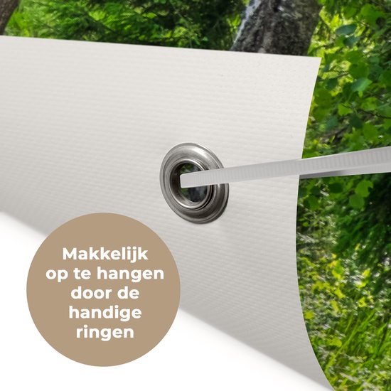 Tuindecoratie Bos - Bomen - Berk - 60x40 cm - Tuinposter - Tuindoek - Buitenposter