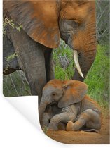 Muurstickers - Sticker Folie - Olifant - Dieren - Zand - Natuur - 90x120 cm - Plakfolie - Muurstickers Kinderkamer - Zelfklevend Behang - Zelfklevend behangpapier - Stickerfolie
