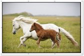 Muurdecoratie Paarden - Dieren - Gras - 180x120 cm - Tuinposter - Tuindoek - Buitenposter