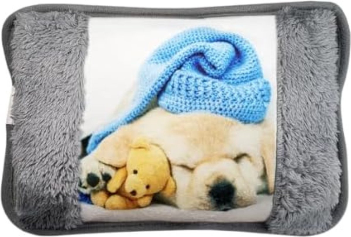 Elektrische kruik - Elektrische kruik - 25 x 17 x 6 cm - Hond - Pluche