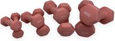Bol.com Padisport - Dumbell Neopreen Set 0.5 1 2 En 3 - Gewichten Set Halters - Roze - Gewichten 2 Kg - Dumbellset - Halterset -... aanbieding
