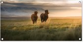 Tuinposter Paarden - Lucht - Gras - 80x40 cm - Wanddecoratie Buiten - Tuinposter - Tuindoek - Schuttingposter - Tuinschilderij