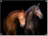 Tuinschilderij Paarden - Dieren - Portret - Bruin - 80x60 cm - Tuinposter - Tuindoek - Buitenposter