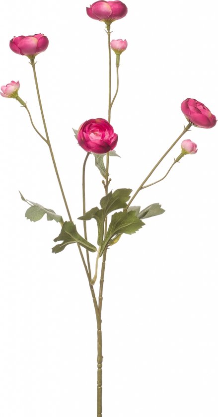 Fleurdirect Kunstbloem Ranunculus Spray - Overig - Roze - 0 x 66 x 0 cm (BxHxD)
