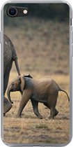 iPhone 7 hoesje - Olifant - Dieren - Savanne - Natuur - Siliconen Telefoonhoesje