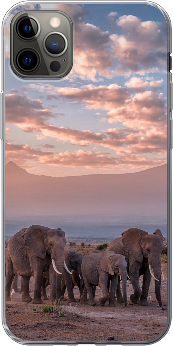 Telefoonhoesje Geschikt voor iPhone 12 Pro Max hoesje - Olifant - Dieren - Avond - Landschap - Savanne - Siliconen Telefoonhoesje Telefoonhoesje