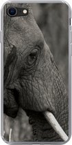 Geschikt voor iPhone SE 2020 hoesje - Olifant - Dieren - Zwart - Wit - Siliconen Telefoonhoesje