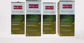 Bioblas - Botanic Oils Herstel Shampoo voor droog en beschadigd haar - voordeelpak ( 4 x 360 ) - Herbal Shampoo - Bio Shampoo - Anti haaruitval
