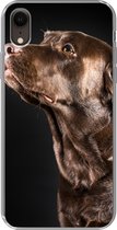 Geschikt voor iPhone XR hoesje - Hond - Bruin - Portret - Siliconen Telefoonhoesje