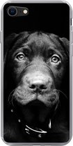 Geschikt voor iPhone SE 2020 hoesje - Close-up labrador puppy tegen zwarte achtergrond in zwart-wit - Siliconen Telefoonhoesje
